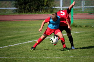 米兰体育官网首页-体育赛事志愿者管理及培训体系建设，体育赛事志愿者的工作要求