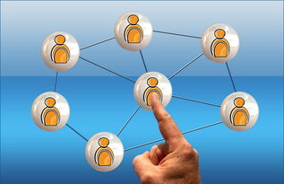 米兰足球官网-德国队与国际乒联混合团体世界杯赛制的互动与挑战，德国队乒乓